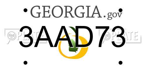 3AAD73 Georgia License Plate