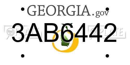 3AB6442 Georgia License Plate