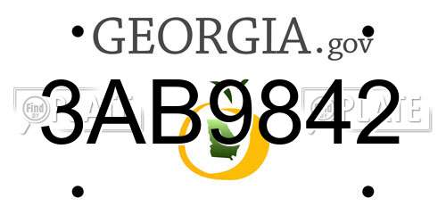 3AB9842 Georgia License Plate