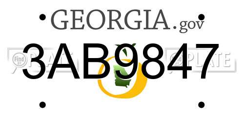 3AB9847 Georgia License Plate