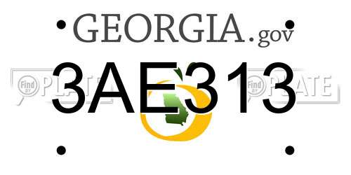 3AE313 Georgia License Plate