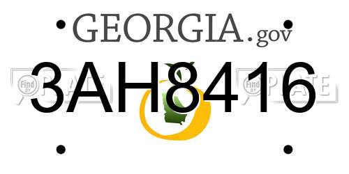 3AH8416 Georgia License Plate