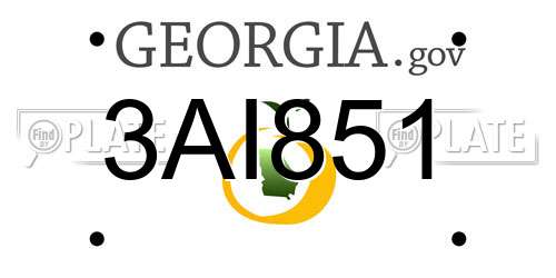3AI851 Georgia License Plate
