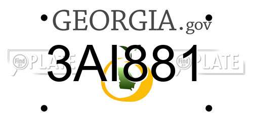 3AI881 Georgia License Plate