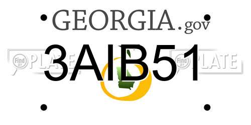 3AIB51 Georgia License Plate