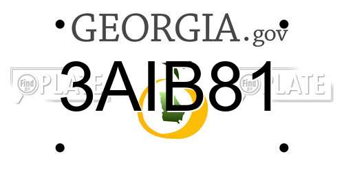 3AIB81 Georgia License Plate