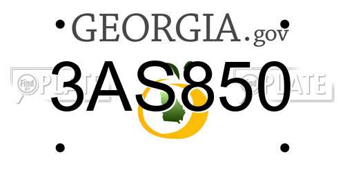 3AS850 Georgia License Plate