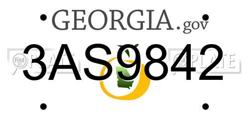 3AS9842 Georgia License Plate