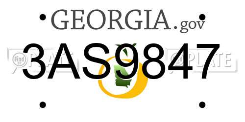 3AS9847 Georgia License Plate