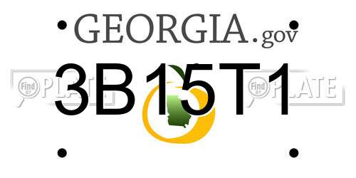 3B15T1 Georgia License Plate