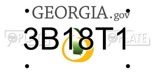 3B18T1 Georgia License Plate