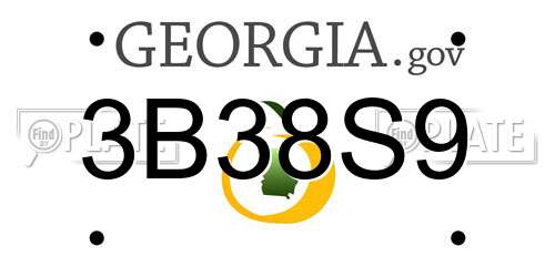 3B38S9 Georgia License Plate