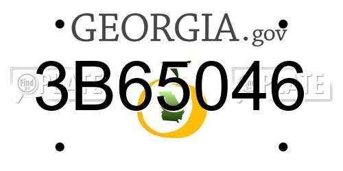 3B65046 Georgia License Plate