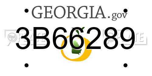3B66289 Georgia License Plate