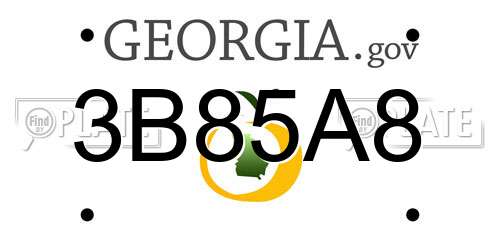 3B85A8 Georgia License Plate
