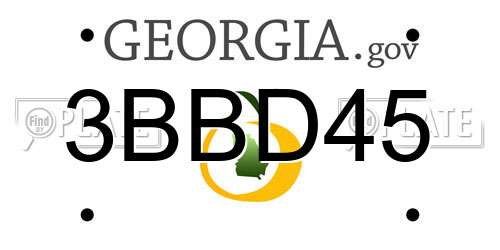 3BBD45 Georgia License Plate