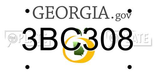 3BC308 Georgia License Plate