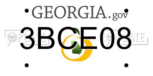 3BCE08 Georgia License Plate