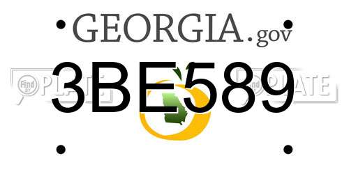 3BE589 Georgia License Plate