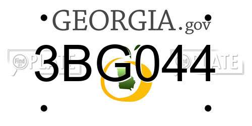 3BG044 Georgia License Plate