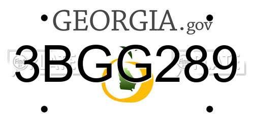 3BGG289 Georgia License Plate