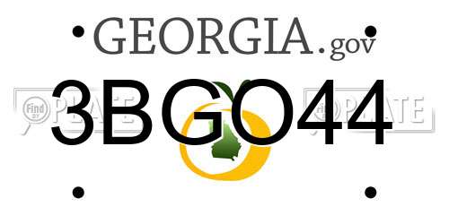 3BGO44 Georgia License Plate