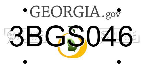 3BGS046 Georgia License Plate
