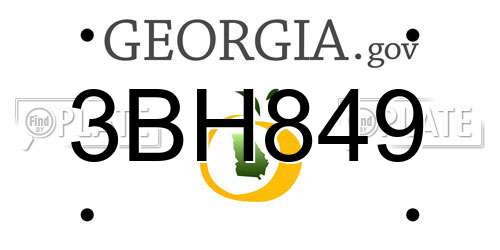 3BH849 Georgia License Plate