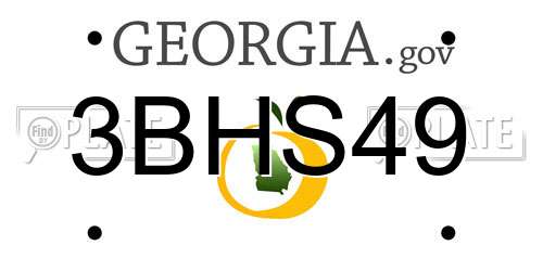 3BHS49 Georgia License Plate