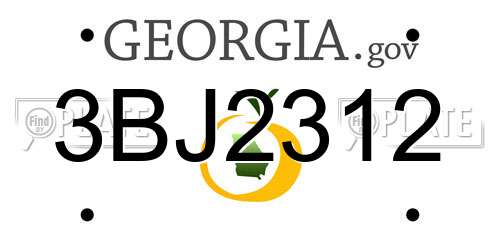 3BJ2312 Georgia License Plate