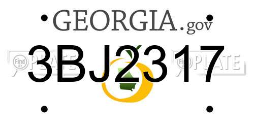 3BJ2317 Georgia License Plate