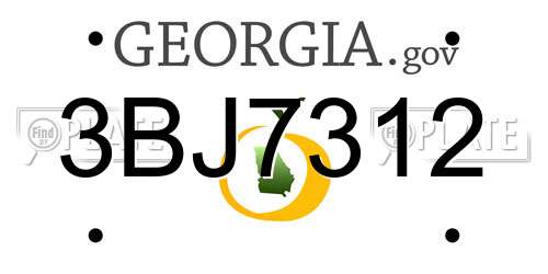 3BJ7312 Georgia License Plate