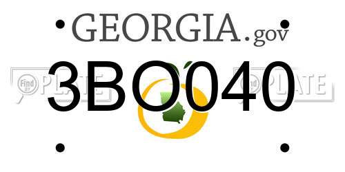3BO040 Georgia License Plate