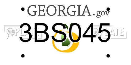 3BS045 Georgia License Plate