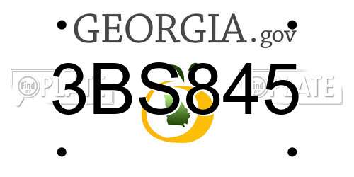 3BS845 Georgia License Plate