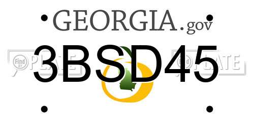 3BSD45 Georgia License Plate