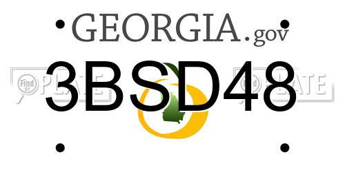 3BSD48 Georgia License Plate
