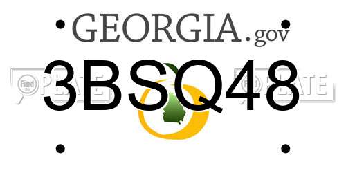 3BSQ48 Georgia License Plate