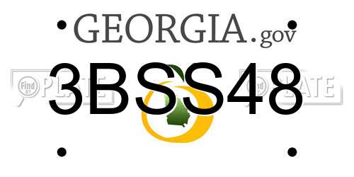 3BSS48 Georgia License Plate