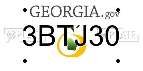 3BTJ30 Georgia License Plate
