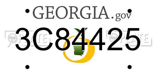3C84425 Georgia License Plate
