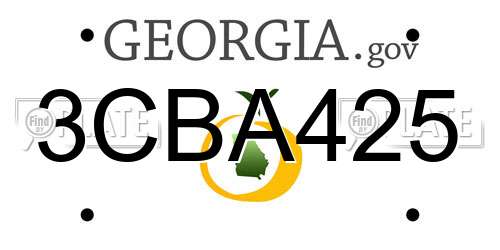 3CBA425 Georgia License Plate