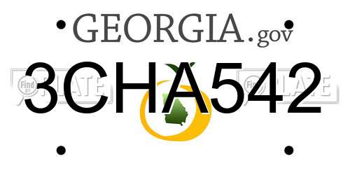 3CHA542 Georgia License Plate