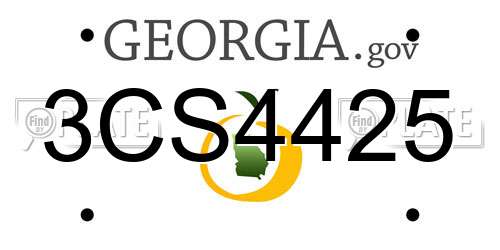 3CS4425 Georgia License Plate
