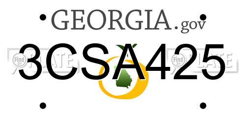3CSA425 Georgia License Plate