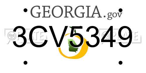 3CV5349 Georgia License Plate