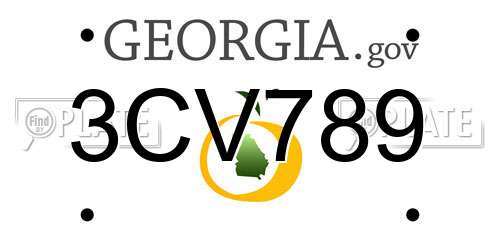 3CV789 Georgia License Plate