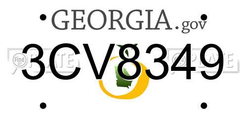 3CV8349 Georgia License Plate