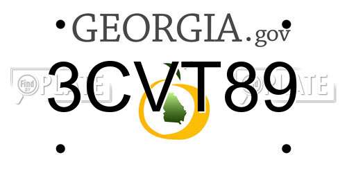3CVT89 Georgia License Plate