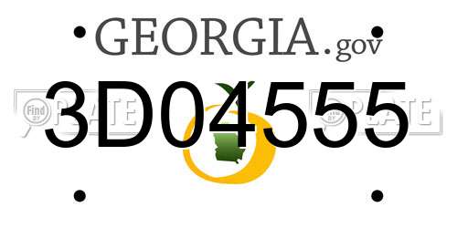 3D04555 Georgia License Plate